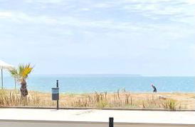 Windsurf Beach Front - Photo 10