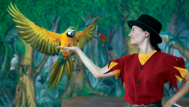 Parc à thèmes Zoomarine - Billet d'entrée - Photo 3