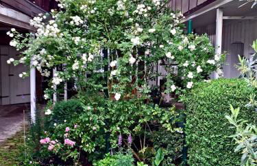 Dr. Fabian und Christine Drube - Foto 10