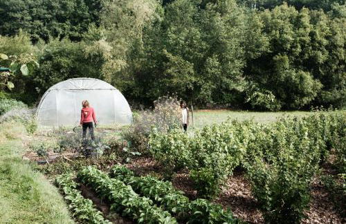 Torre Tanquián Eco Finca - Ribeira Sacra - Foto 17