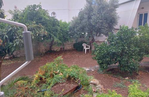 Vitamin sea Studio - Foto 50