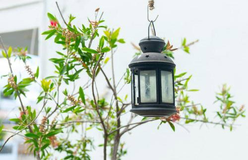 The HostMaster Ethnic Touch Feel Studio - Photo 22