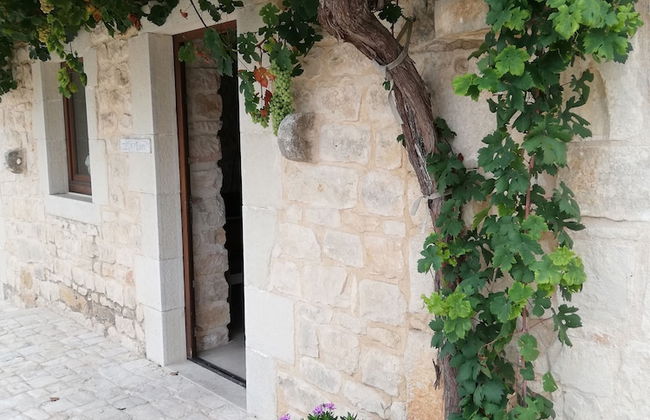 Le Chiuse di Guadagna - Foto 26