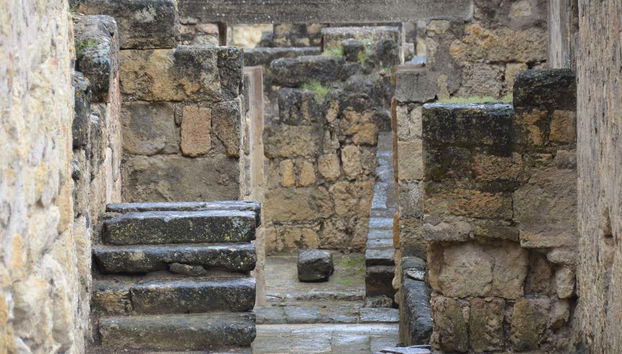 Visita guiada por Medina Azahara - Foto 5