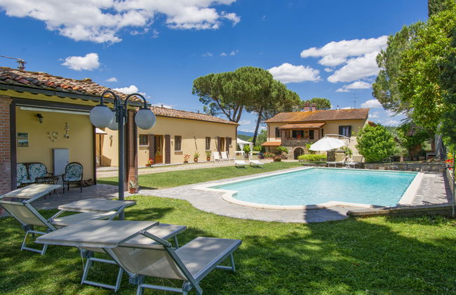 Cedri Alti - Foto 17