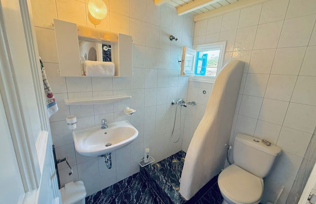 Stylish 2 Bd Escape Apt at Ornos Beach - Photo 25