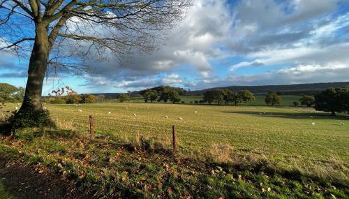 Cosy Shepherd's Hut with Hot Tub - Foto 4