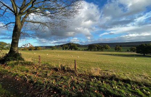 Cosy Shepherd's Hut with Hot Tub - Foto 4