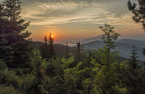 Marina's Stone Cottage - Foto 63