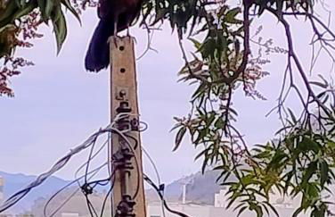 Studio Flat Casal com ar condicionado - Foto 18