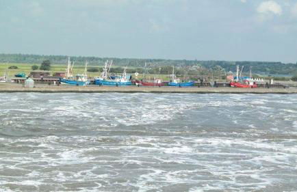 Nordsee_2, max 3 Pers - Foto 14