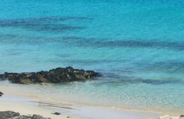 Villa Gozo Holiday house - Photo 39