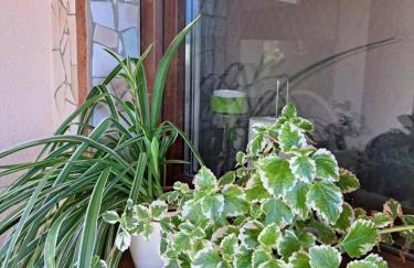 Brzozowy Zakątek - Foto 18