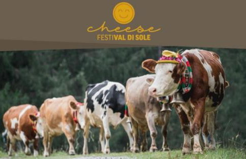 Chalet Migazzi - Foto 38