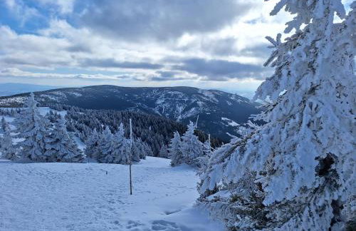 Górskie Zacisze Kamienica - Foto 16