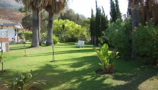 Casa Harriet - Photo 3, Terrace/patio