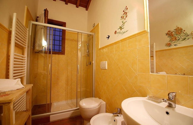 Gatto Bianco Tizzauli - Foto 34