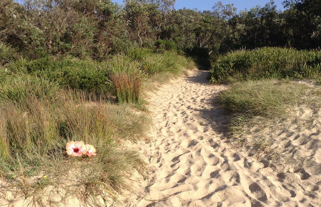 The Peninsular Merimbula - Photo 12