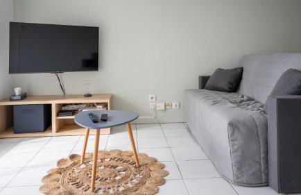 L'Airbusien - Terrasse et parking - Airbus à coté - Foto 3