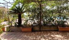 Isole Eolie, Vulcano - Favoloso bivani con piscina acqua di mare e vista sulle isole eolie - Foto 5, Garden