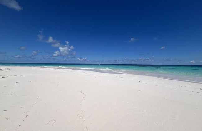 Bohemia Bungalow Three 1 Bedroom Home - Foto 21