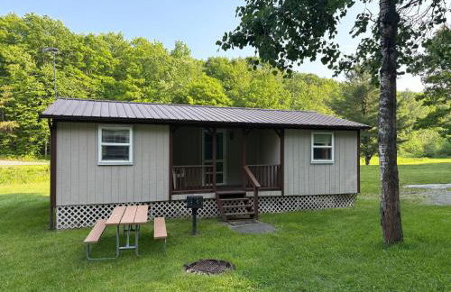 Pine and Paddle Cottage on Black Lake - Foto 1