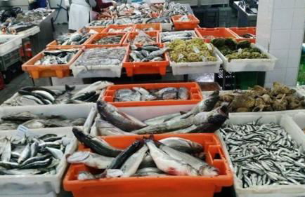 Blue Beach Apartment - Caminhos de Santiago-Airport - Foto 27