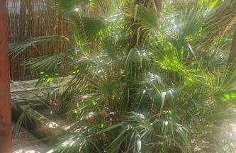 Holiday Home Entspannung am Meer in der Nähe von Neapel by Interhome - Foto 26