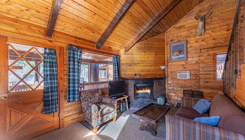 Forest Cabin 1 Hunters Blind - Foto 4