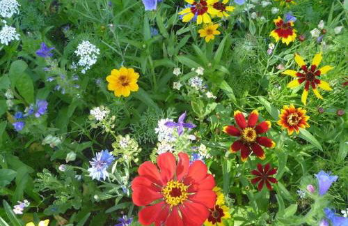 Holiday apartment with 2 bedrooms - Foto 6