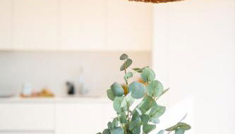 Priolo in Ponta Delgada - 5th floor Apartment - Photo 5