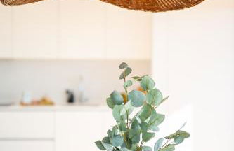 Priolo in Ponta Delgada - 5th floor Apartment - Photo 5