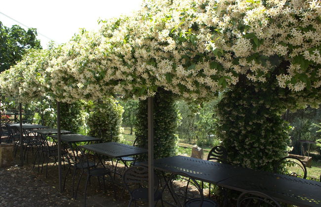 Il Poggio di Teo - Foto 28