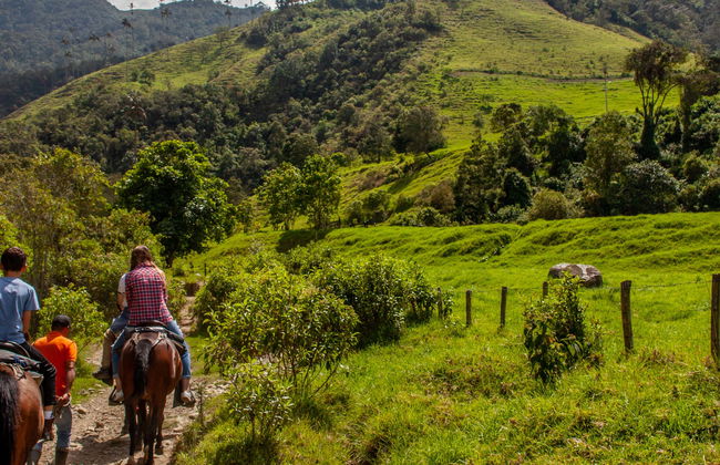 Horseback Ride in the Serra da Bocaina - Foto 1