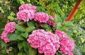 Urlaub mit Charme in der kleinsten Stadt der Pfalz. - Foto 58