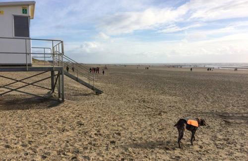 Cedarwood, an intimate and romantic cabin for two. - Foto 35