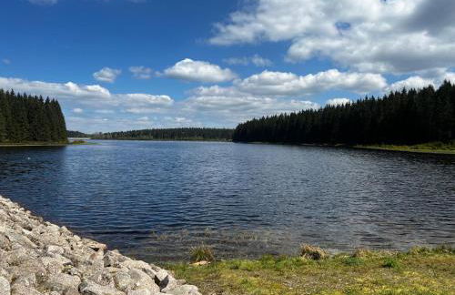 Ferienwohnungen Carlsfeld - Foto 80