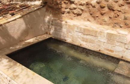 Huerto de Mateo Arana - Foto 37