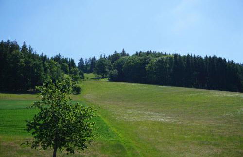 Ehrenmättlehof Faißt - Foto 21