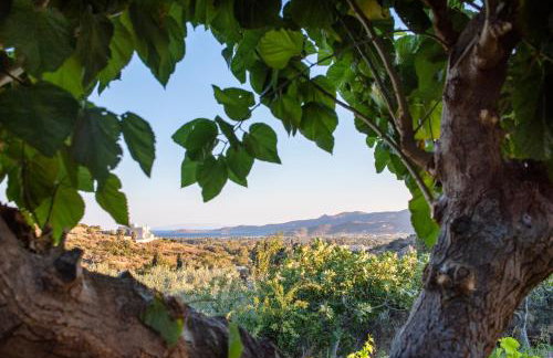 Ktima Asteria - Foto 2