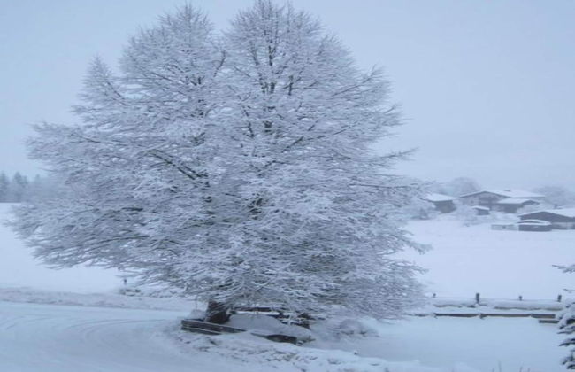 Apartment in Niedernsill With Garden Views - Foto 35