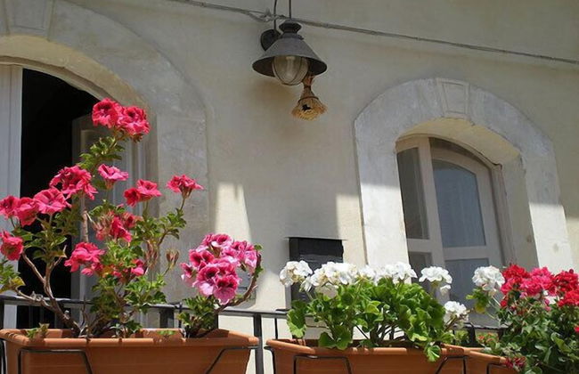 Chicchi di Melograno - Foto 48