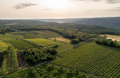 Amazing Villa ALMA Infinity POOL, PADEL Court, Jacuzzi - Foto 4