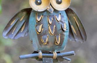 L'Aquila e L'Ulivo - Foto 34