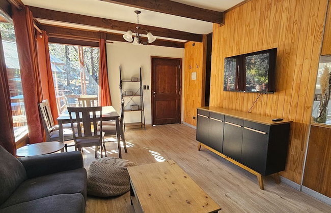 Oceana Suites Corralco - Photo 23