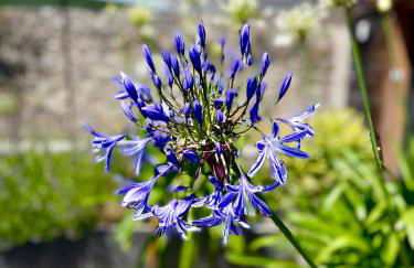 300 m Plage et Centre Ville - Parking Privatif et Gratuit sur Place - Terrasse Bois - Foto 38