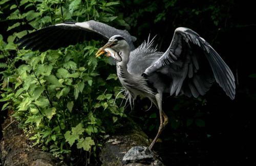 Apartment Am Markt 13 - Foto 15