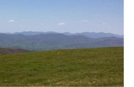 Cabin in the Woods-Peaceful 1BR 20-Acre Rural Retreat-HotTub&WiFi near Asheville - Foto 16