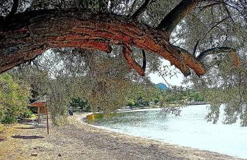 Alexander's - Foto 22