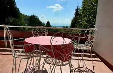 Alpenblick-Hotzenwald - Foto 25